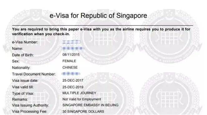 苹果7电子版资料怎么填:新加坡签证申请延期停留详细攻略-第1张图片-太平洋在线下载