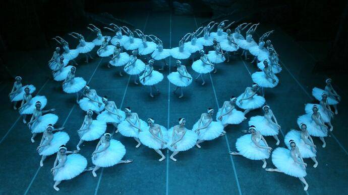 天鹅芭苹果版下载:3200张票一抢而空，上海芭蕾舞团《天鹅湖》新春浪漫起舞